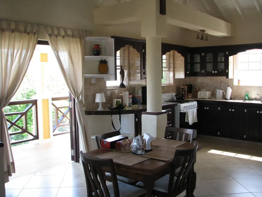 Apartments In Maya'S Bajan Villas Christ Church 0*,